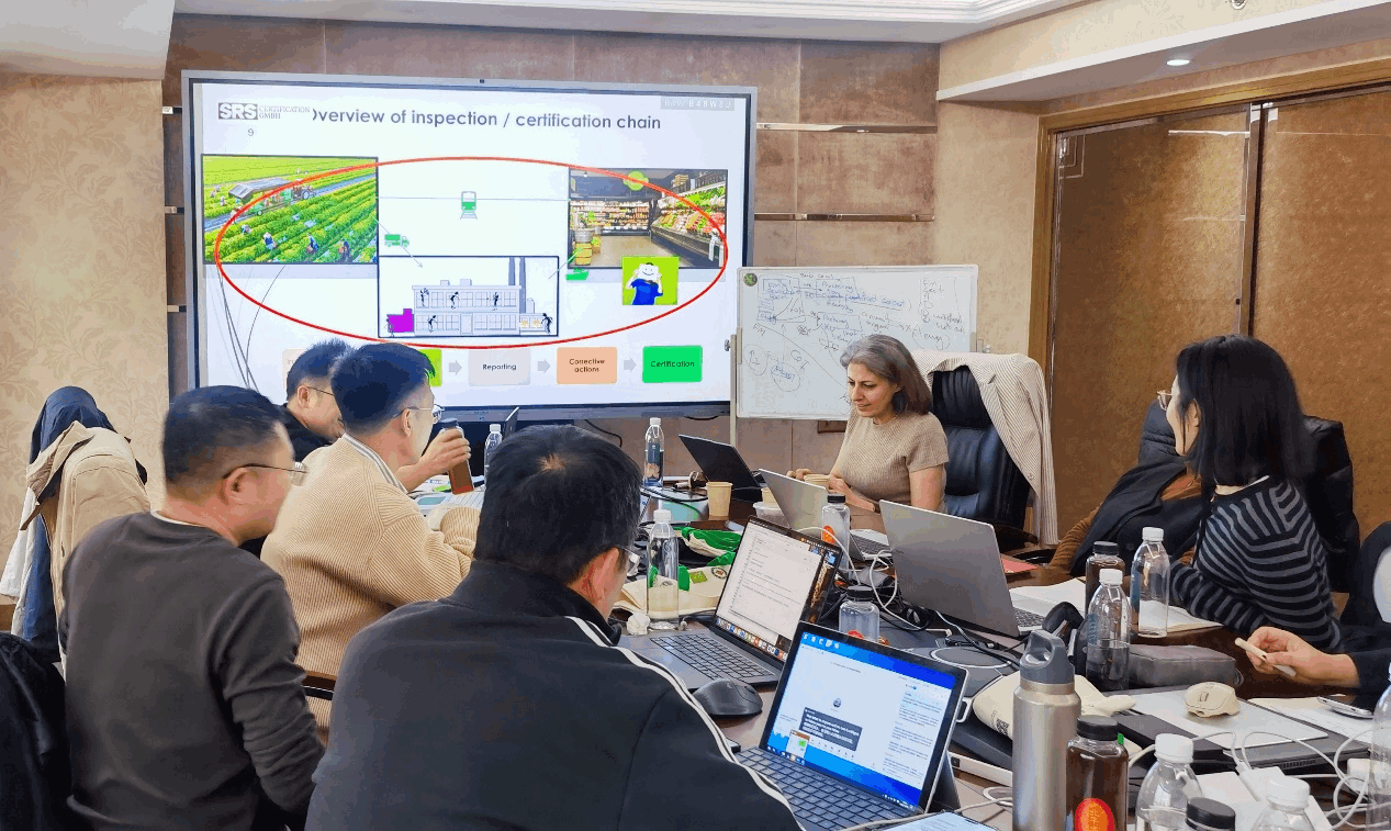 Internal Training Empowers, Professionalism Advances | The Successful Conclusion of Shiying Shanghai’s 2025 Special Training for Organic Product Certification Reviewers-90-3